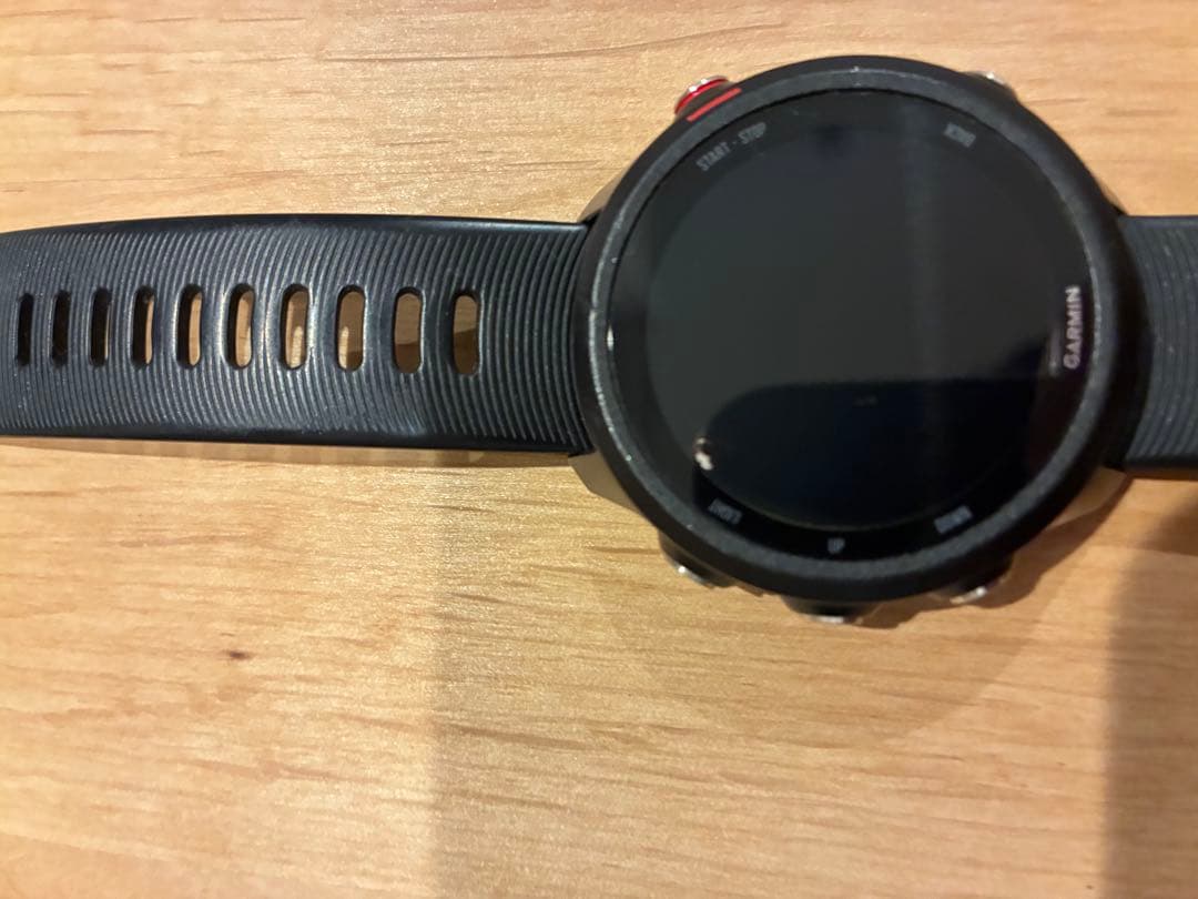 【さはら】GARMIN Foreathlete245music