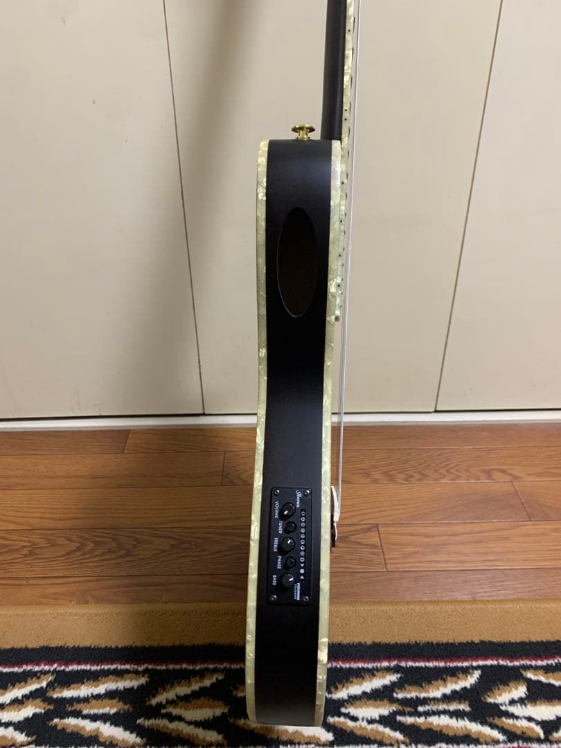 ギター Ibanez TOD10N Tim Henson