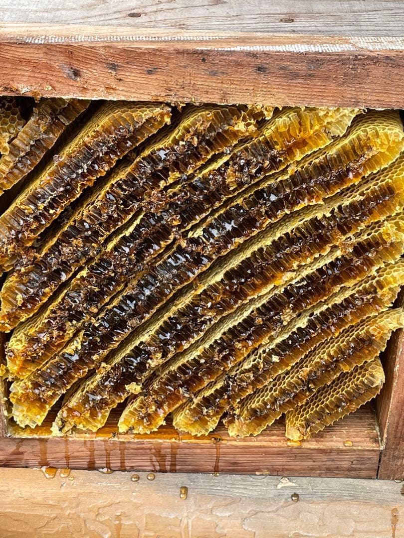 日本蜜蜂重箱式巣箱ハニーズハウス！五段セット！送料無料！