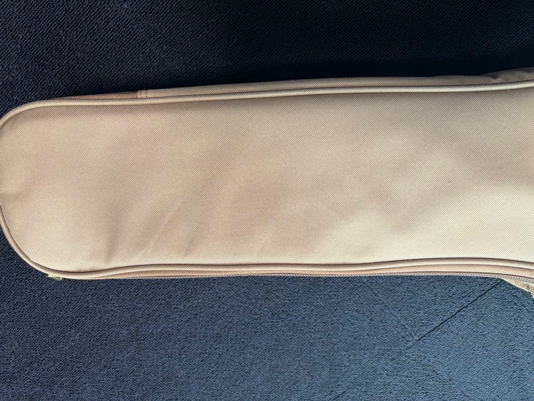 Taylor Academy 10 アコースティックギター