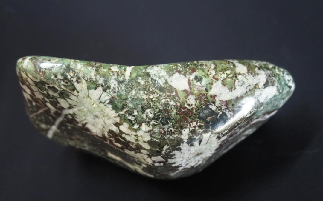 菊花石 　根尾菊花石 緑地に白花　鑑賞石　水石 盆栽