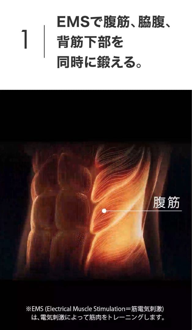 コアベルト2（L）