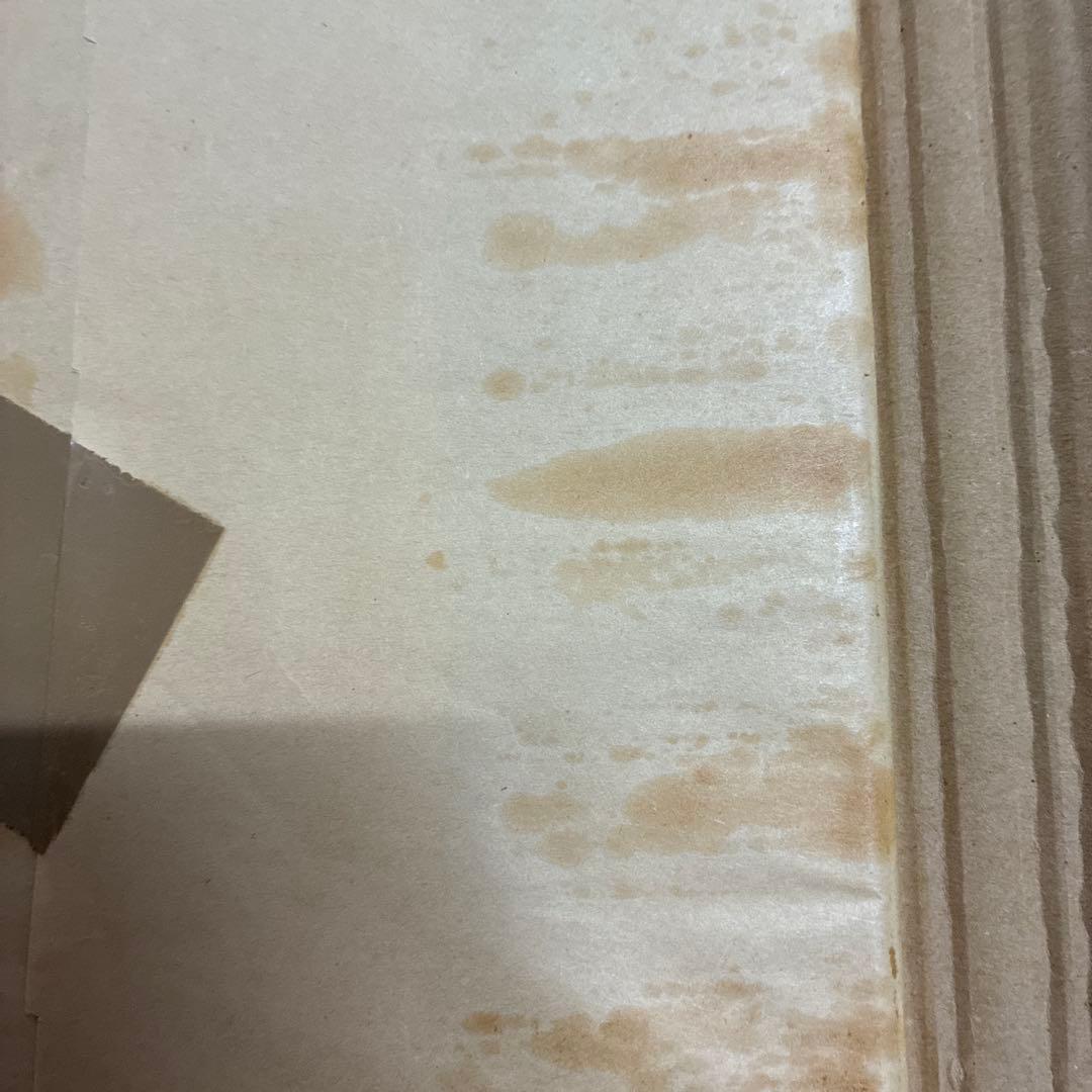 ネフ　ウインドスピラーレ