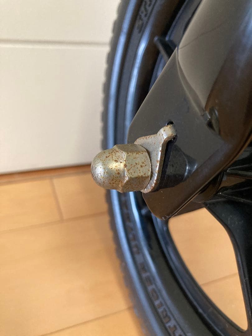 STRIDER 12インチ日本正規品　ブラック　プロテクター付き