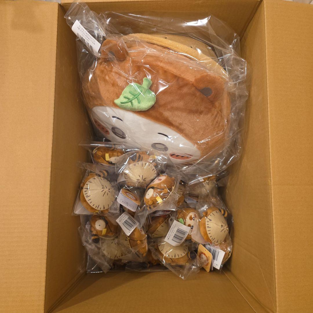 ちいかわ たぬきだもんくじ ４２個セット