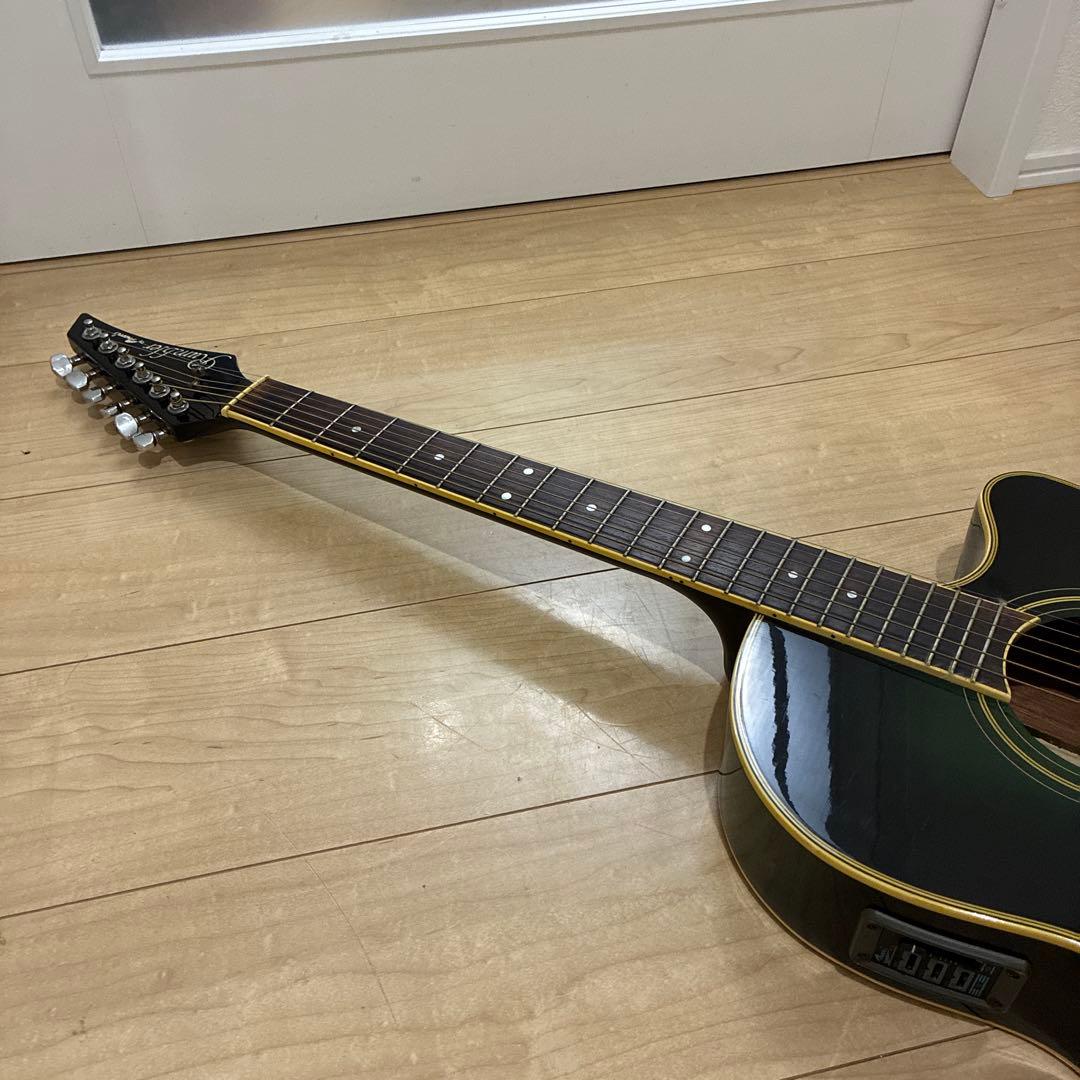 Morris MR-1エレアコです ランブラー　rumblerシリーズです