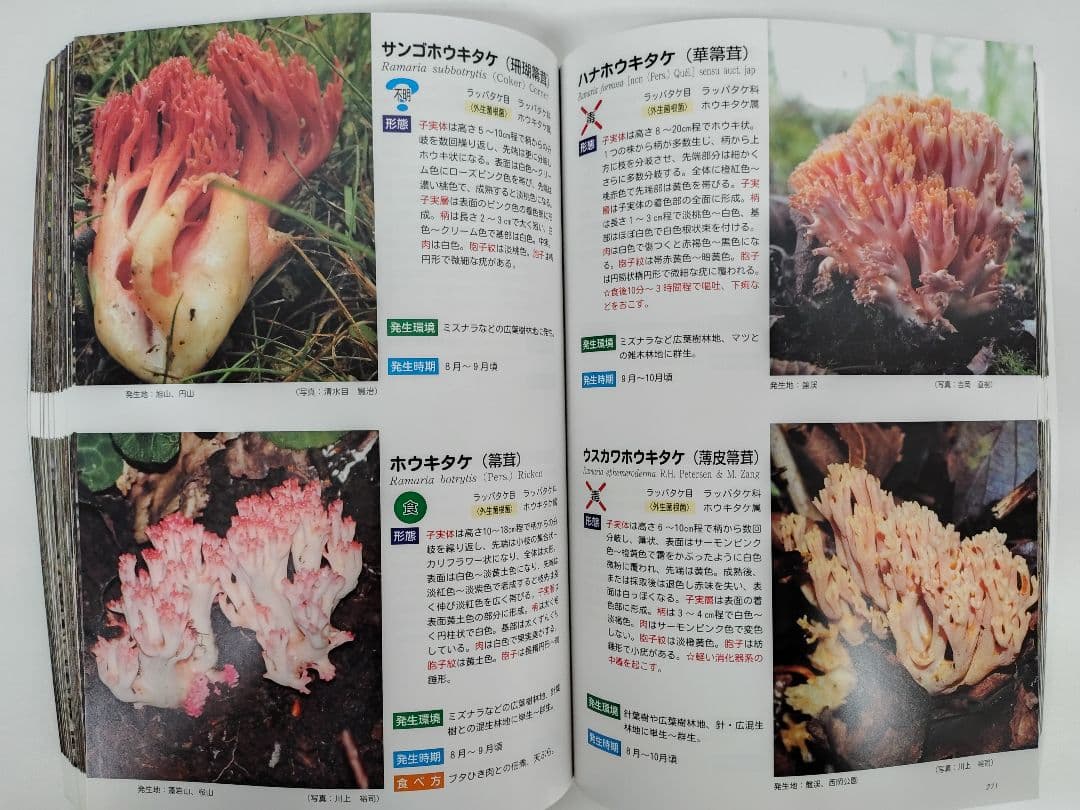 『藻岩山の森林と関わるきのこたち＆札幌近郊林のきのこ』大型本 完売本 稀覯本