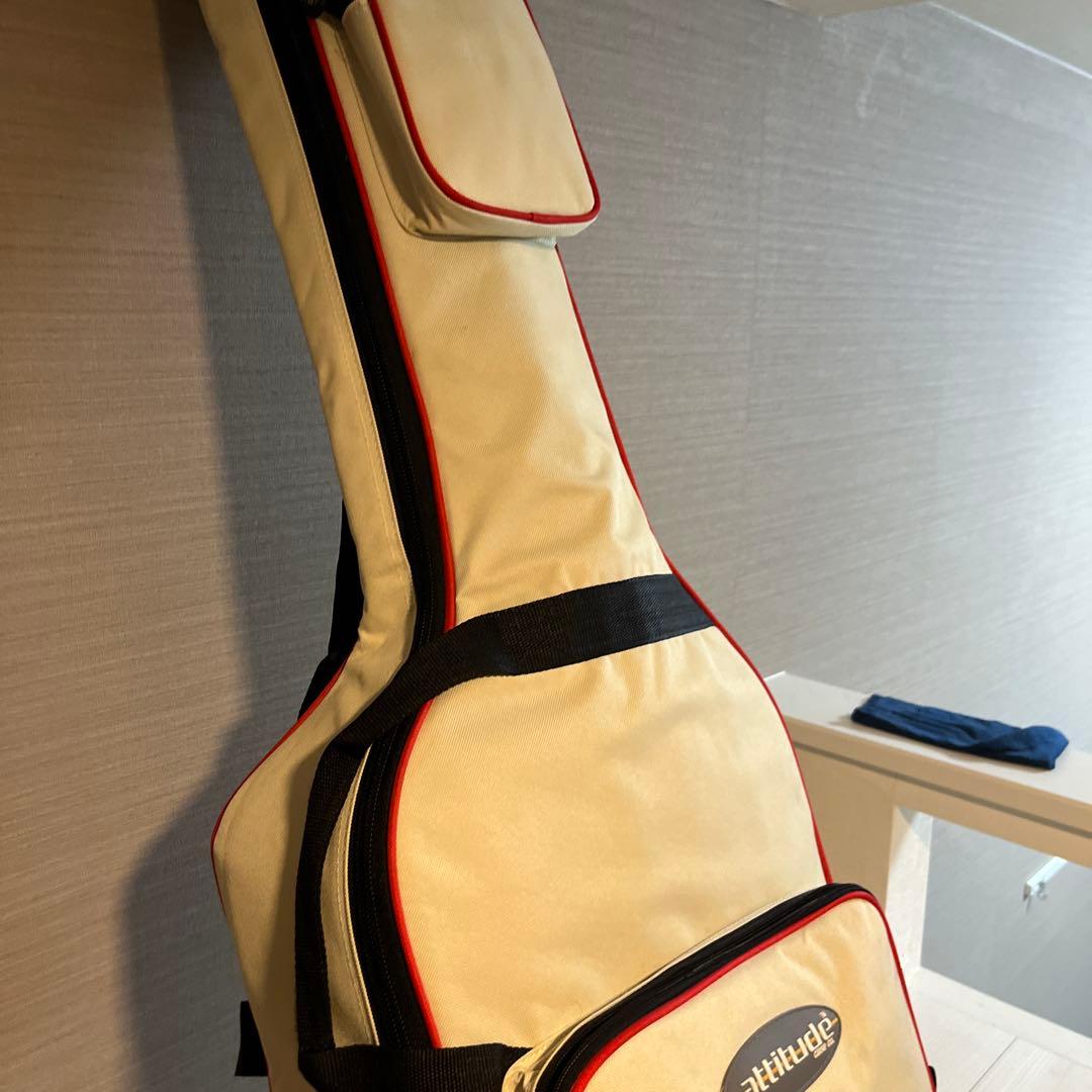 James アコースティックギター JD400/TSB