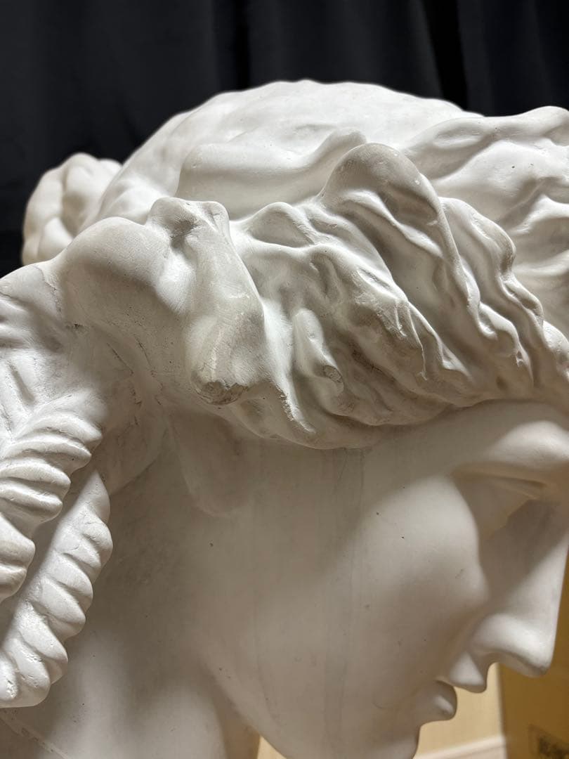 石膏像 アリアス