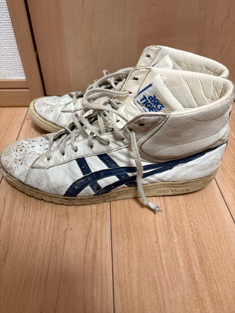 アシックス　ポイントゲッター 28㌢　90S