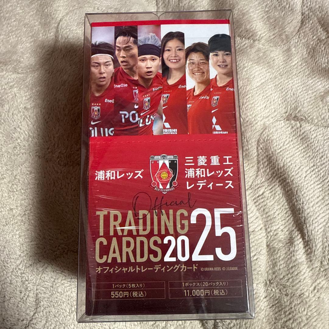 三菱重工浦和レッズレディース 藤崎智子 直筆サイン入り トレカ