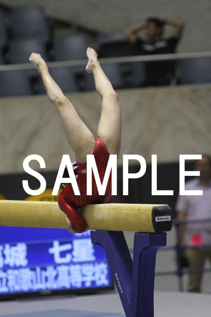 2016年全日本種目別体操 日本女子選手画像集①　約6,600枚