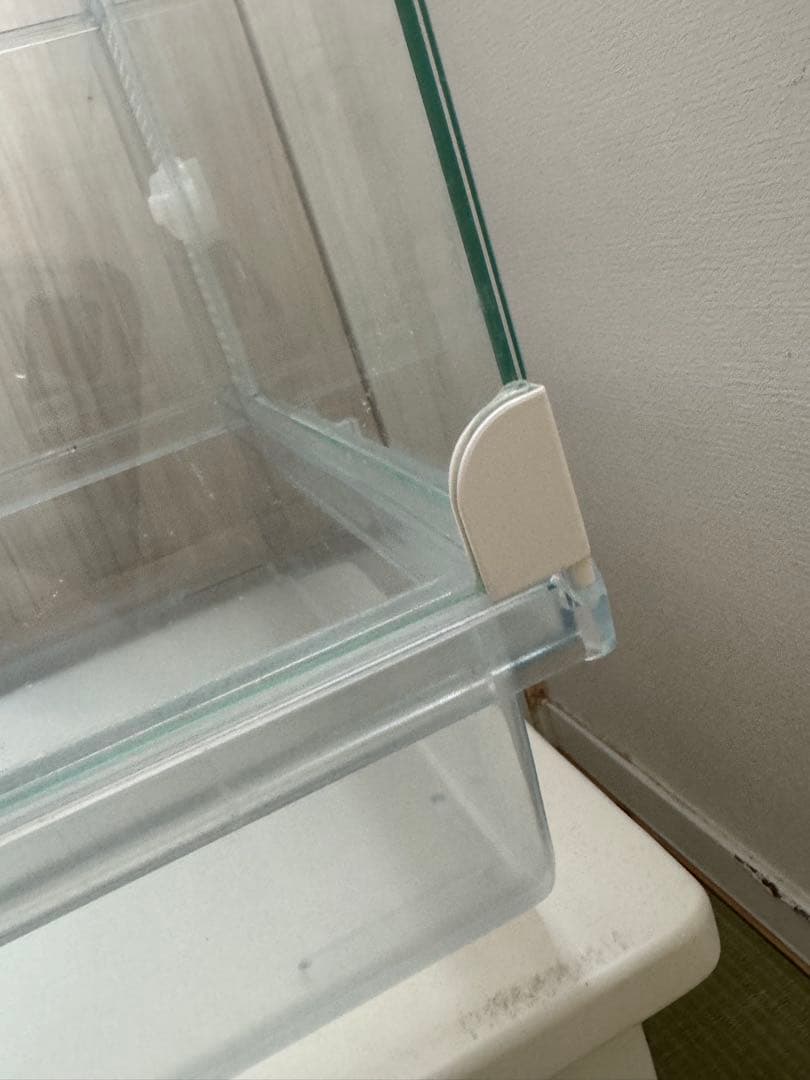 ハムスター２匹すぐ迎えられるセット