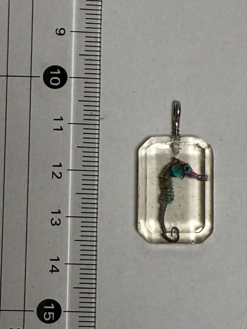 透明標本ボトル4種類 & キーホルダー