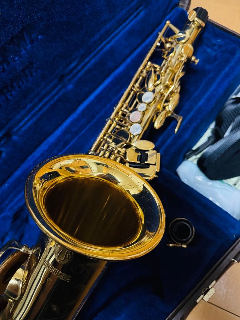 yanagisawa ELIMONA【アルトサックス】