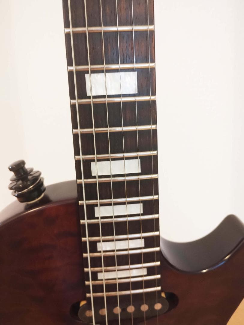 【レスポールタイプ・SSH】E-I-135QM【LUNA SEA・INORAN】