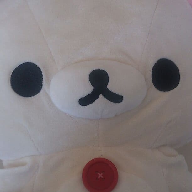 毛はもふもふ、目はかわいい！リラックマのぬいぐるみです。