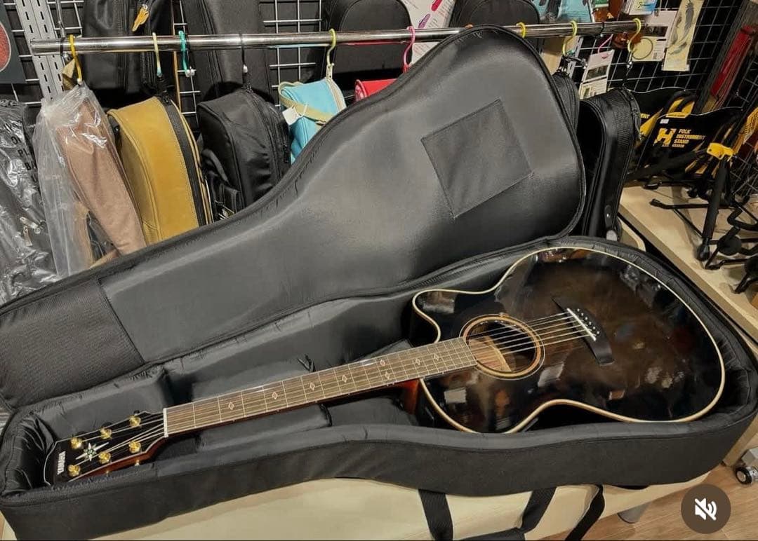 【希少】COMPASSSERIESCPX1200IIDISCONTINUED