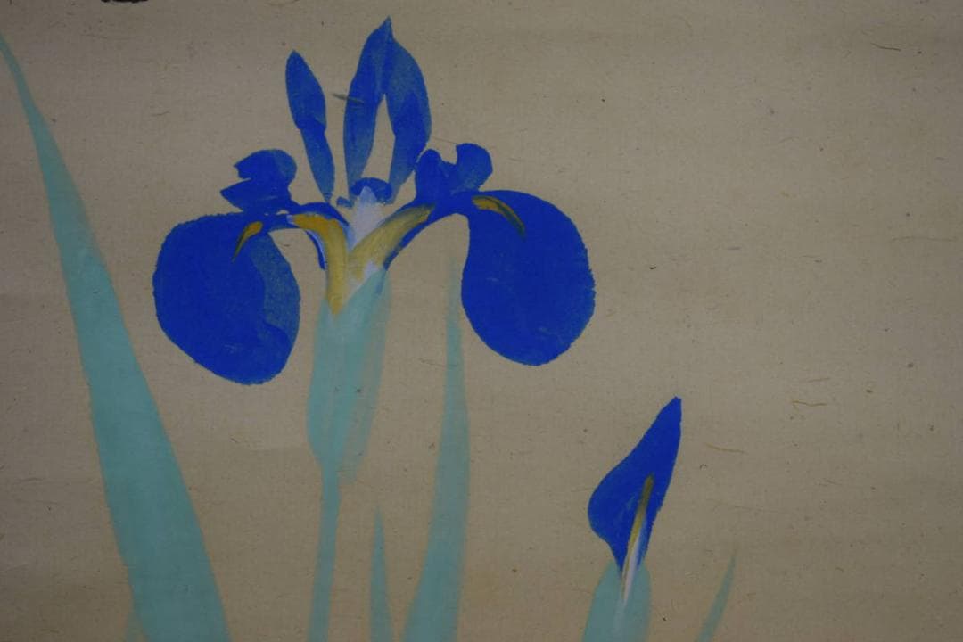 真作/土肥南浦/矢野翠鳳/合作/菖蒲に牡丹図/桐共箱付/布袋屋掛軸HF-409