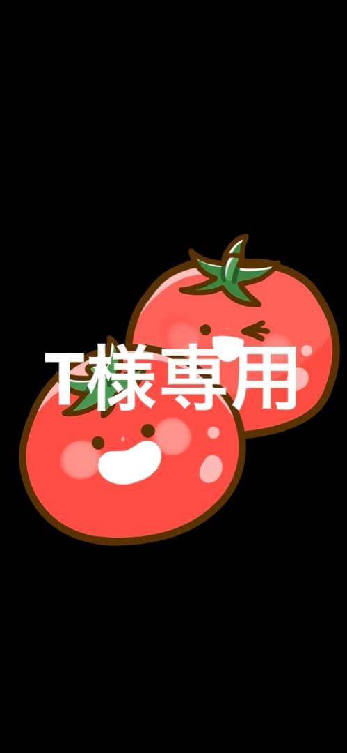 【T】②添加剤セット。