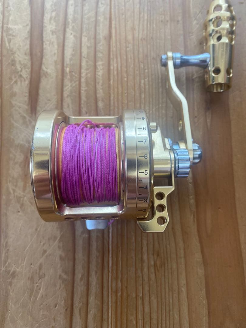 アリゲーターspark