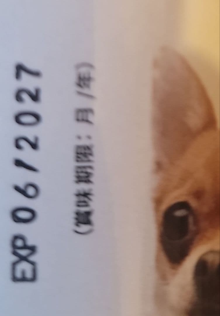 アミンアバスト 猫・小型犬用規格（300mg）60カプセル　2本