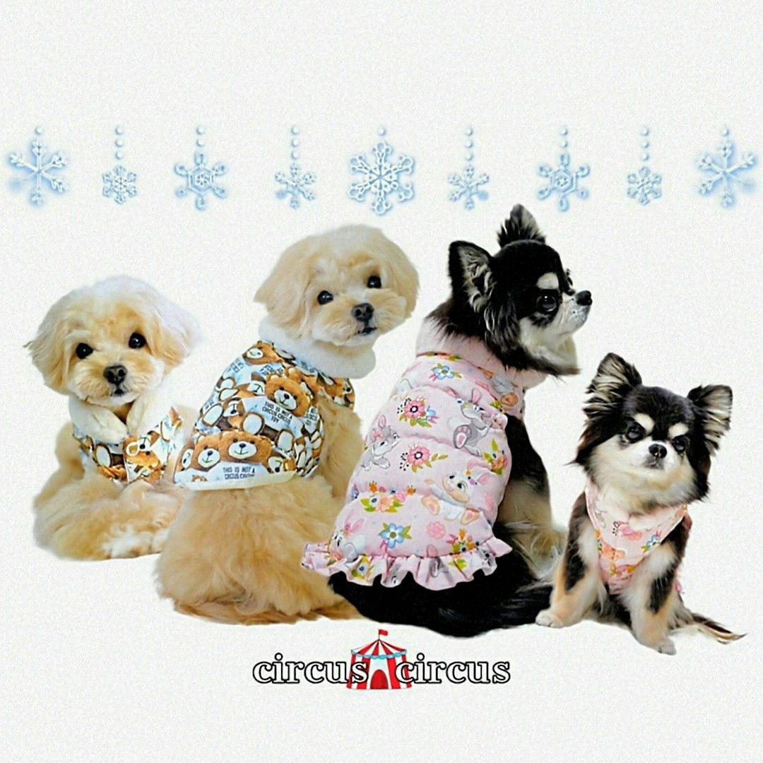 Toy　Bunny　コート サーカスサーカスcircuscircus