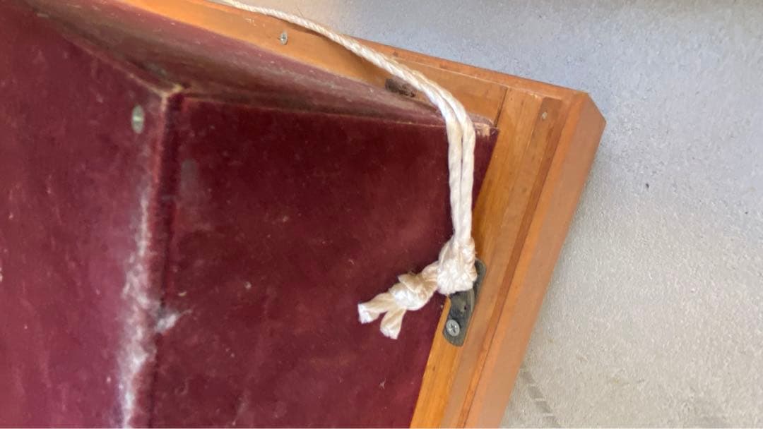 ブラックバス　剥製　剥製工房フィッシュワールド