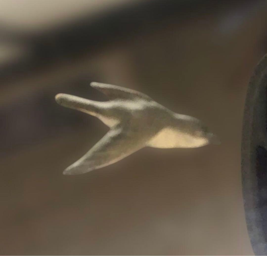 漆　蒔絵　お盆　アンティーク　梅と松