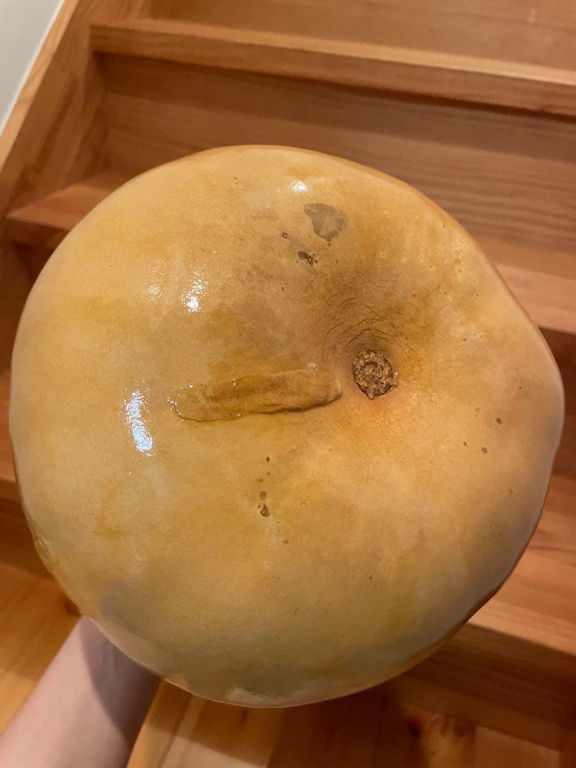 イプ　訳あり　コーティング済