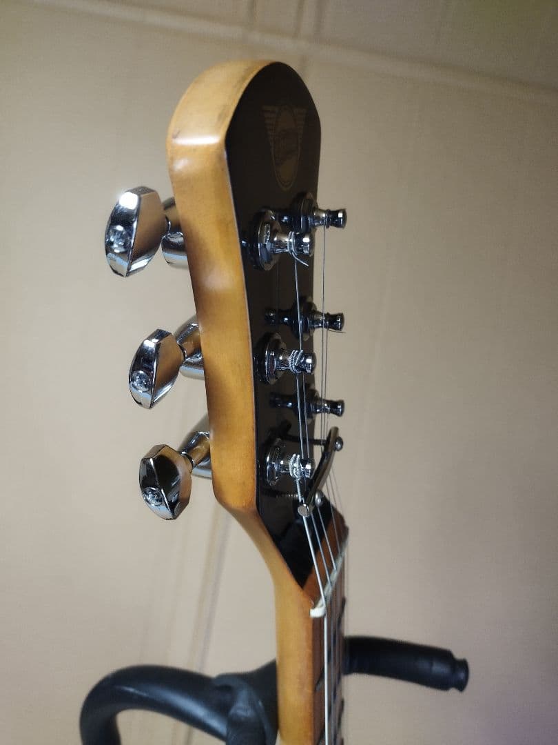 Pignose 小型エレキギター ギターケース付き