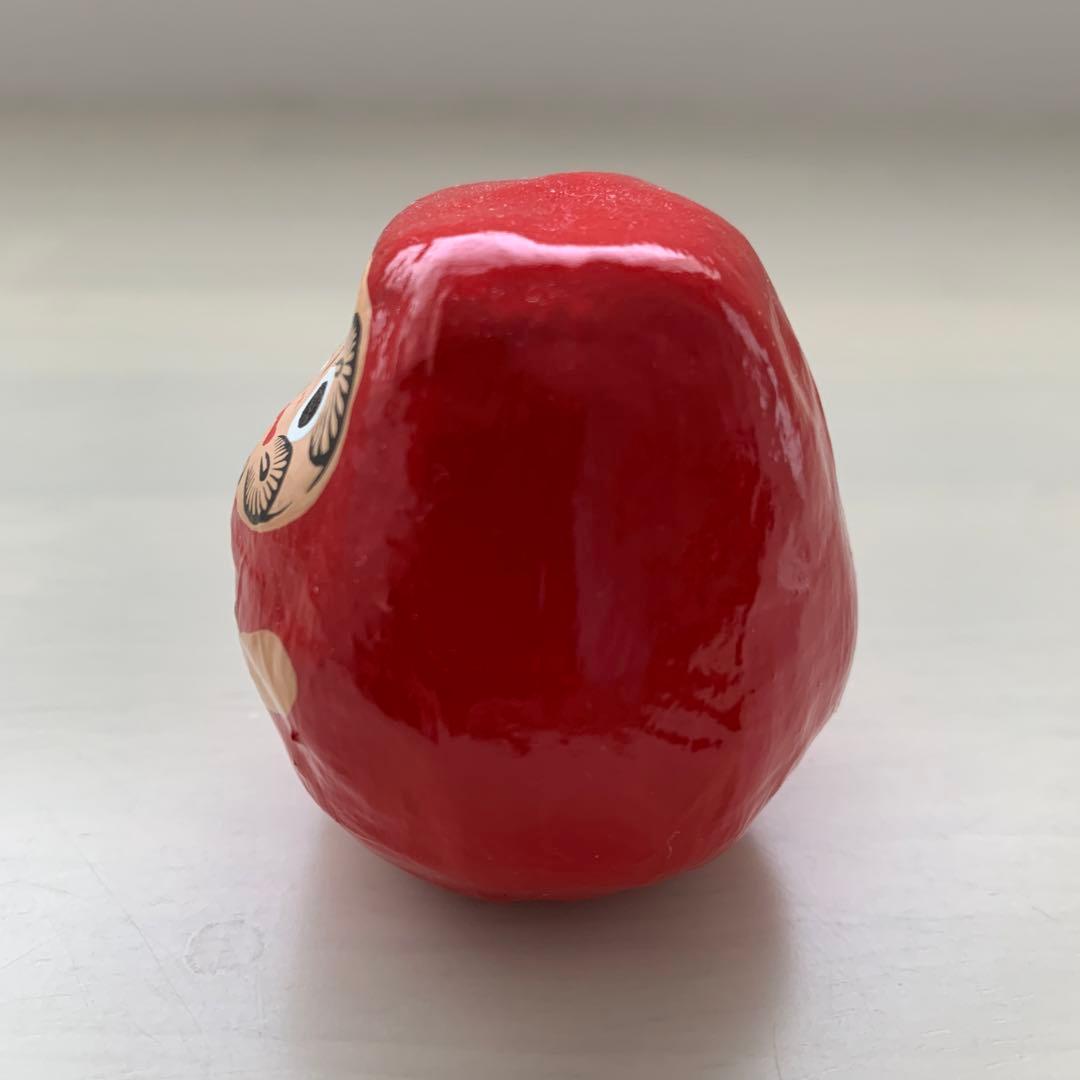 ヤチコダルマ　土佐犬抱っこ