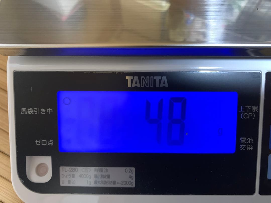 貴重Gibeon ギベオン隕石 48g メテオライト 鉄隕石 ナミビア 隕石 ①