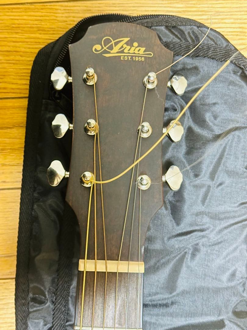 Aria (EST.1956) (ケース・スタンド付)