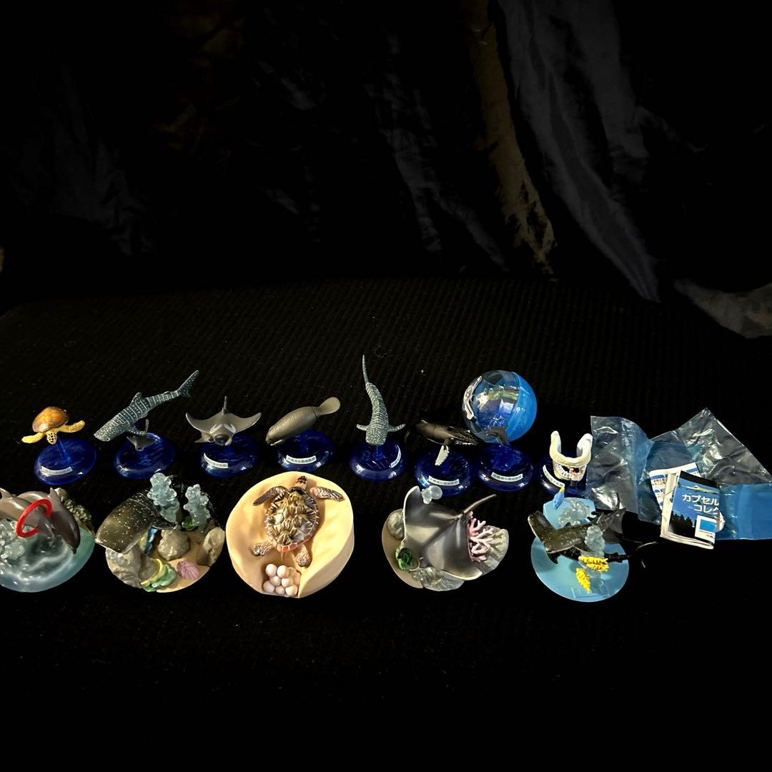 激レア 沖縄美ら海水族館 カプセルフィギュアコレクション