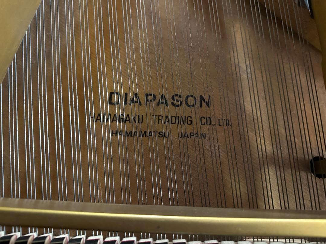 DIAPASON(ディアパソン) 183E