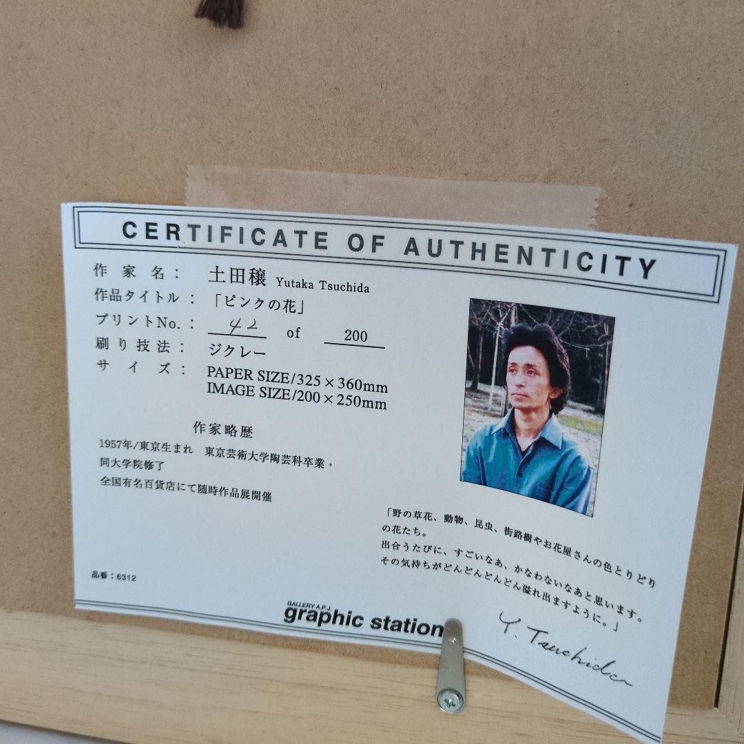 土田穣 絵画・アート(版画額装品)/ピンクの花/ウサギ・うさぎ