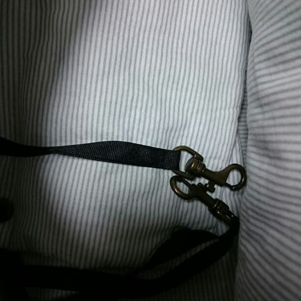 犬キャリーバッグ