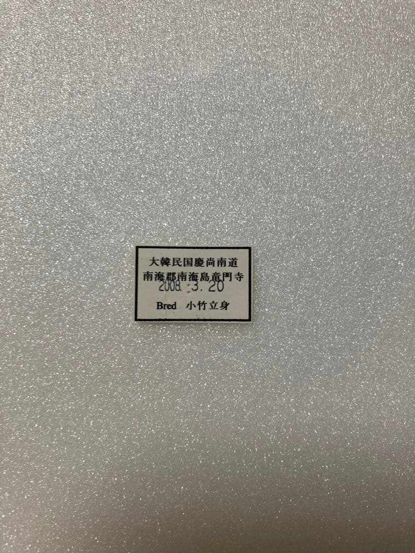 韓国ヒメギフチョウ（ペア、飼育品）