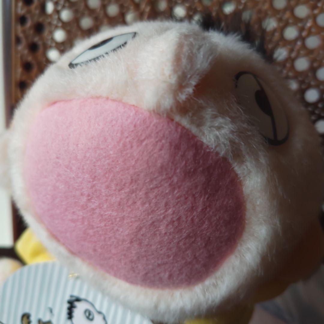 昭和レトロ サンリオ みんなのたぁ坊☆メッセージ ぬいぐるみ☆当時物 19㌢