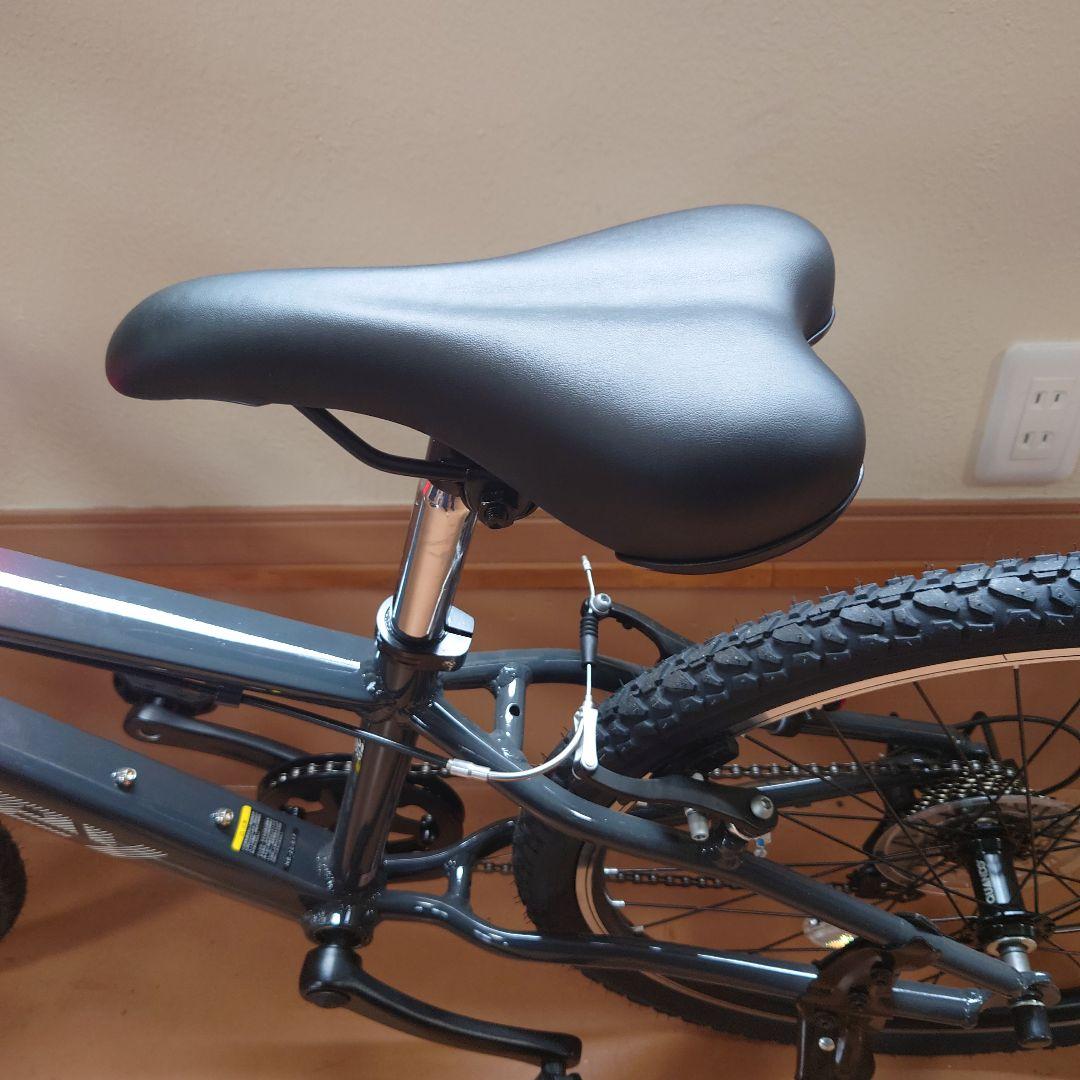 NESTO ネスト X-VALLEY【新品未使用】 24インチ キッズ MTB