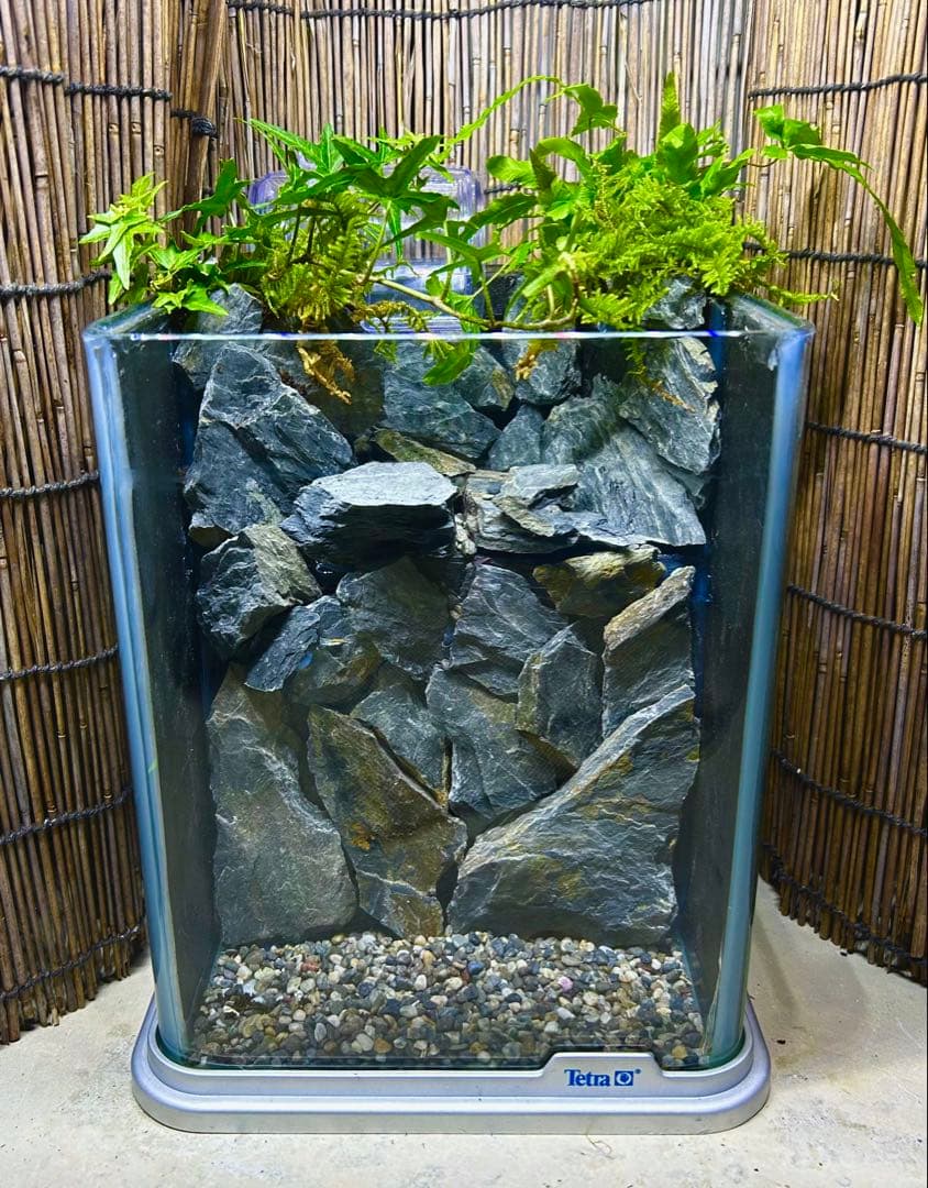 水の流れる滝テラリウム水槽