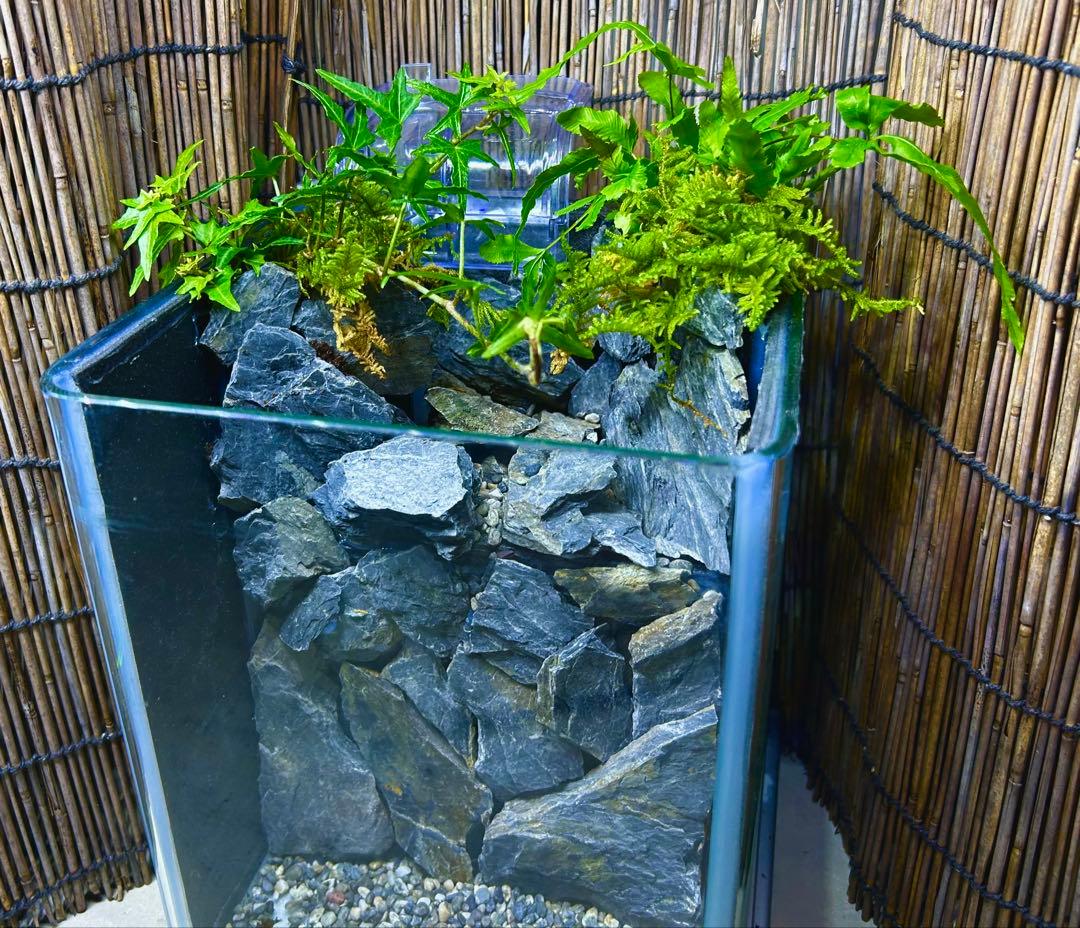 水の流れる滝テラリウム水槽