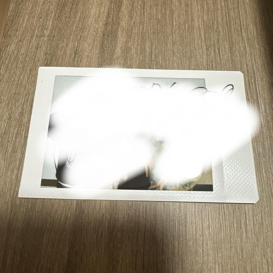 ミセス　サイン入りチェキ