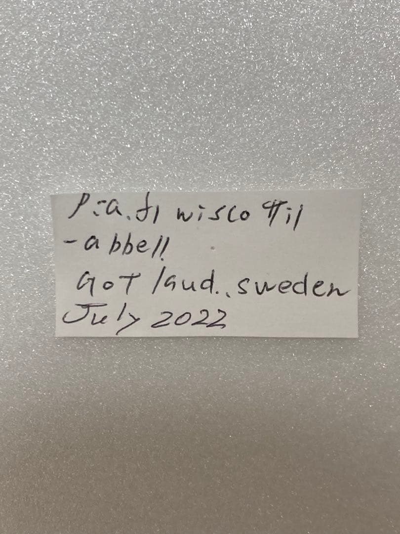 パルナシウス・ウィスコッティ（1メス・スウェーデン産）