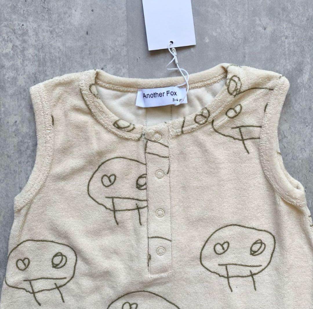 Another fox 4点セット