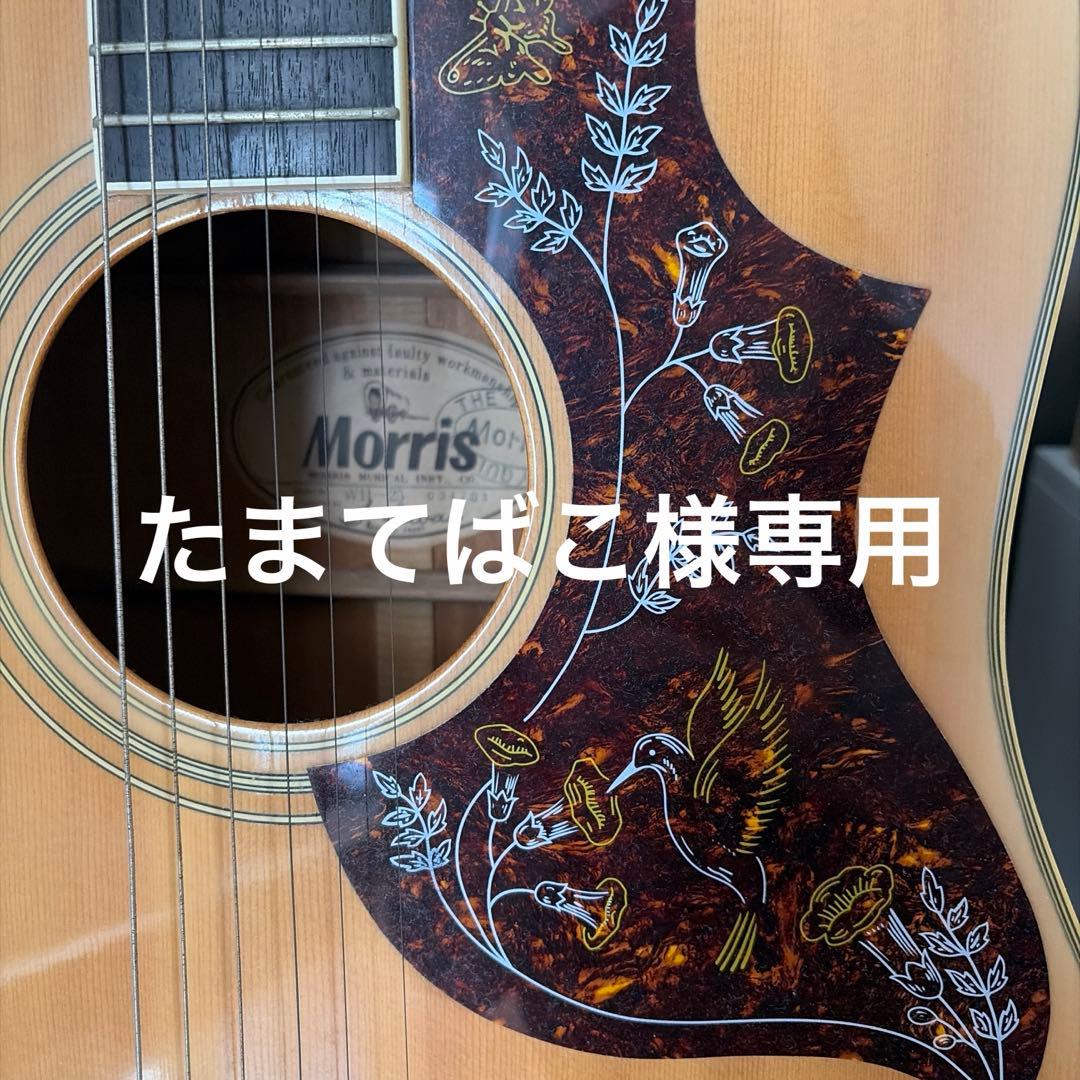 Morris アコースティックギター ハミングバードデザイン