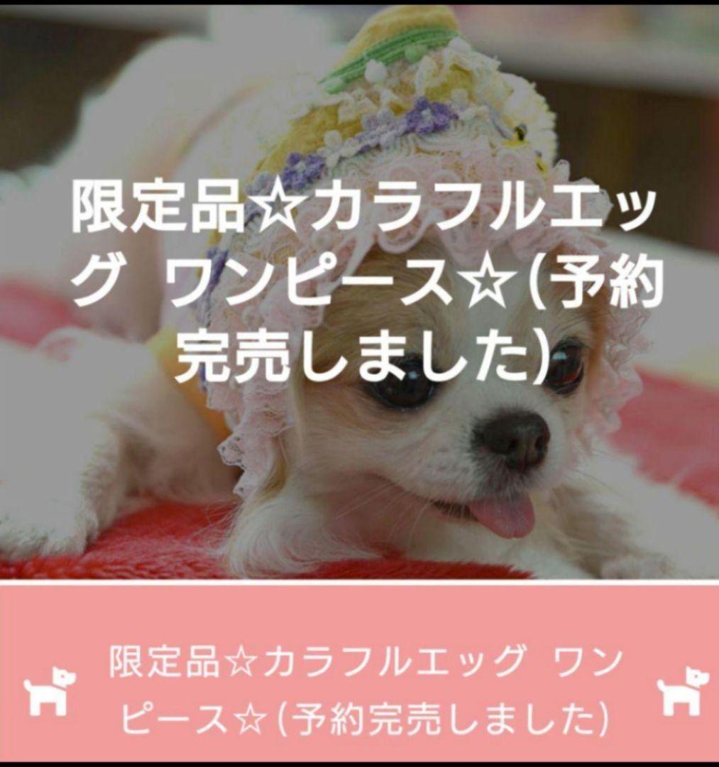 J＆Kanimals　はるちゃんワンピース　限定ワンピース　廃盤品　３ＳーＬ