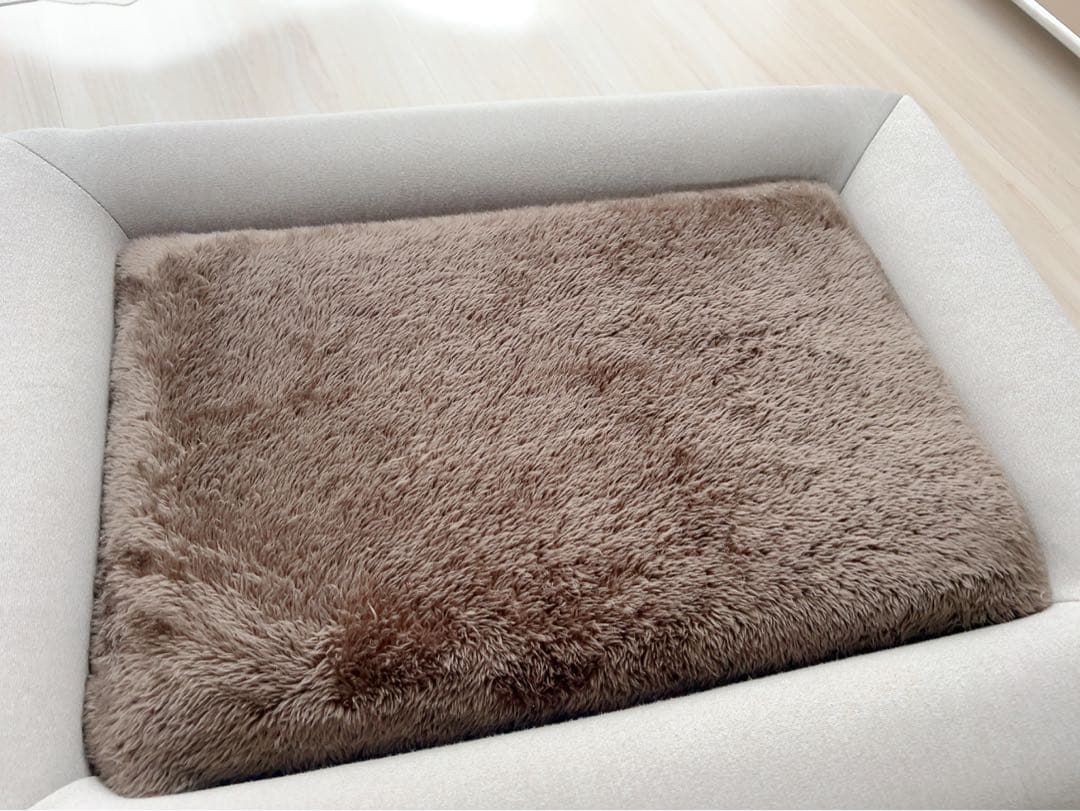 犬用ベッド クッション付き ベージュ 大きめ