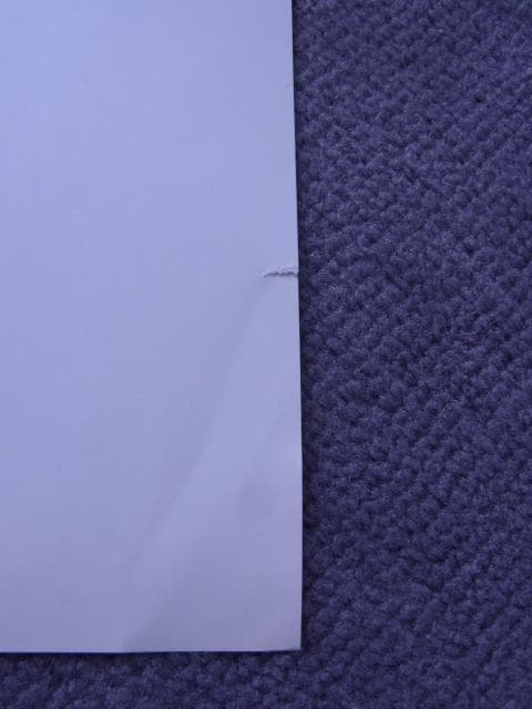 未使用品　非売品　ポスター　ヒロ・ヤマガタ　森の蝶々　アート　山形博導